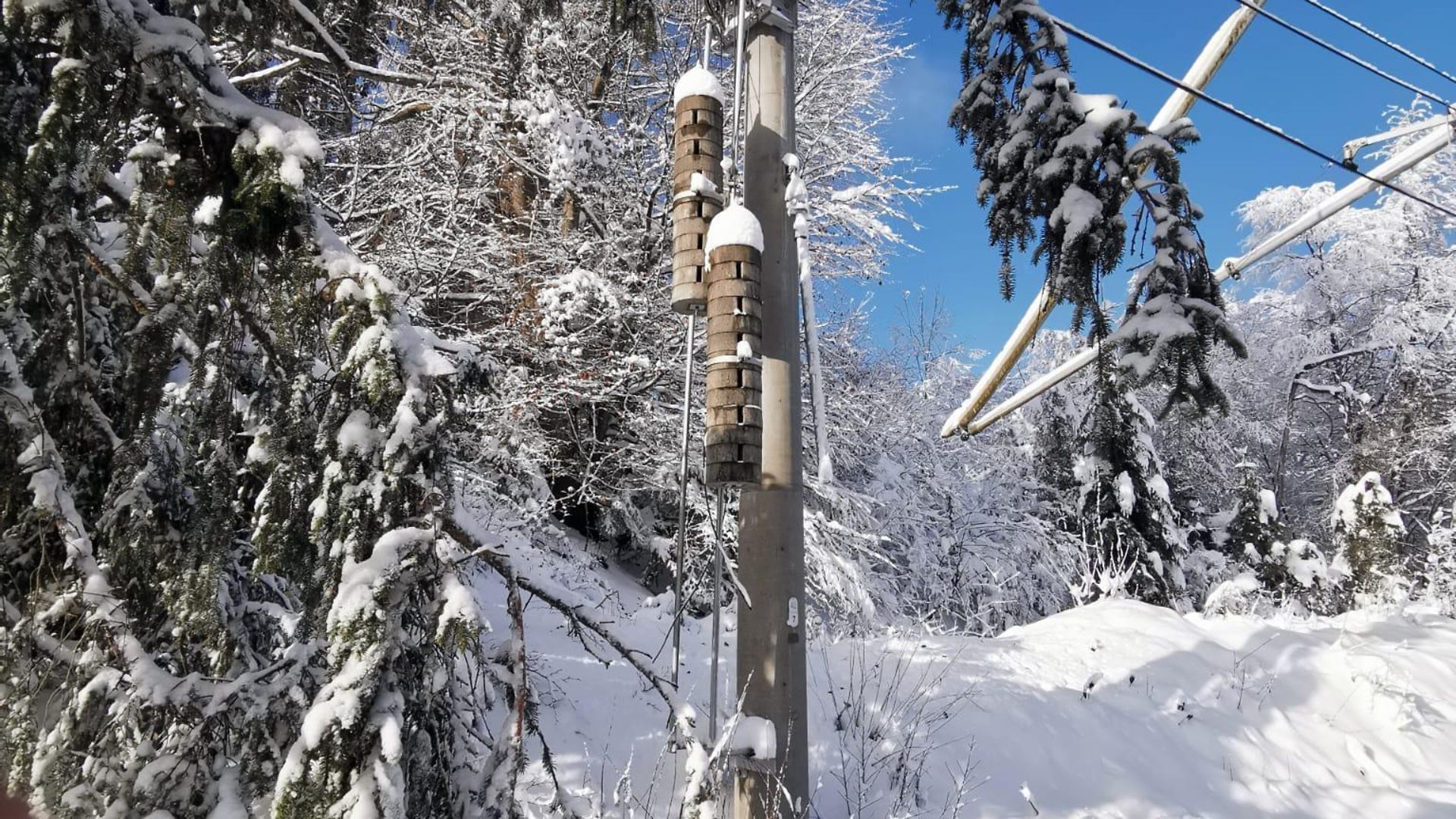 Massive Schneefälle im Werdenfelsnetz