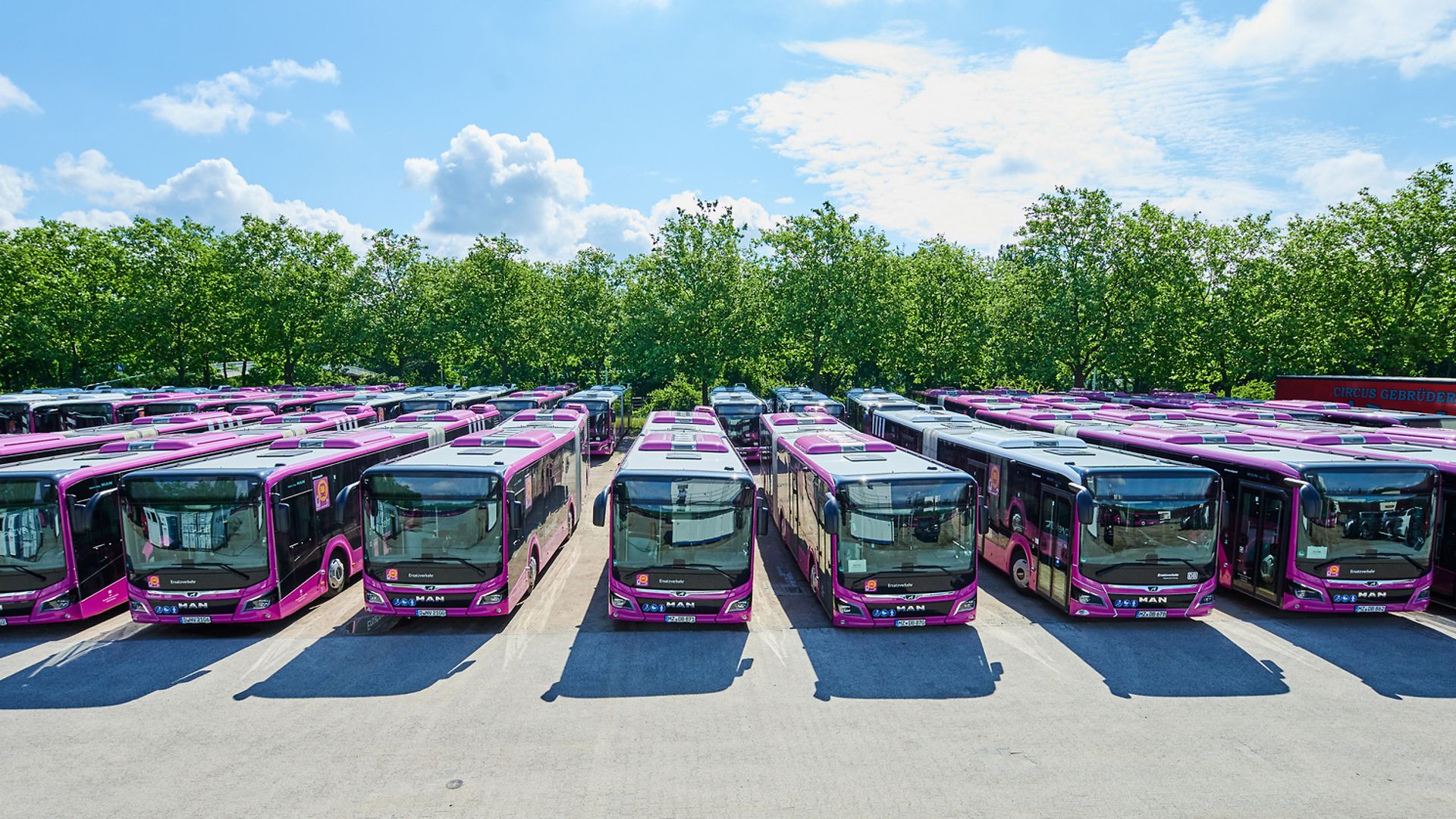 Ersatzverkehr an der Riedbahn: Busflotte und Team sind komplett