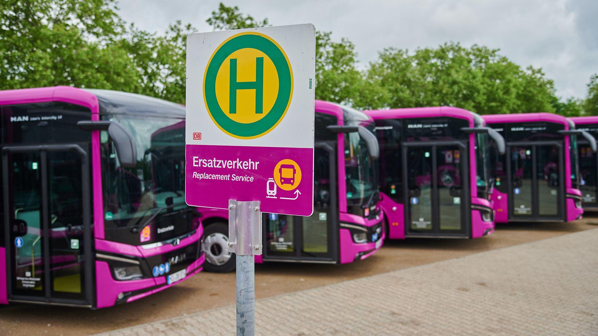 Ersatzverkehr an der Riedbahn: Busflotte und Team sind komplett