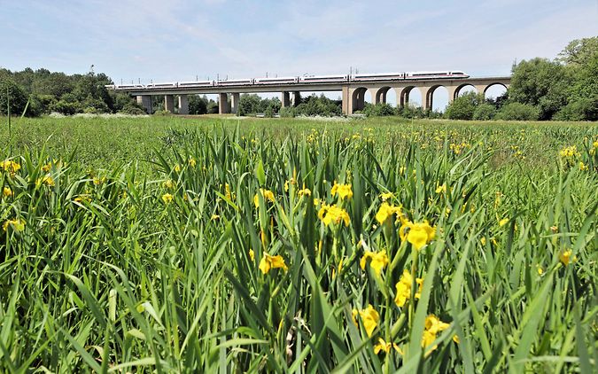 ein ICE4 fährt über die Talbrücke Bielefeld-Schildesche