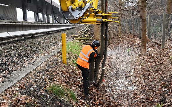 Vegetationsrückschnitt am Gleis